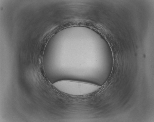 X0000080801302200612151022