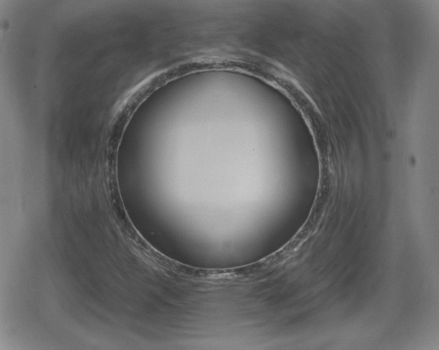 X0000080801304200612151022