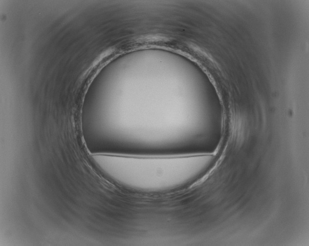 X0000080801305200612151022