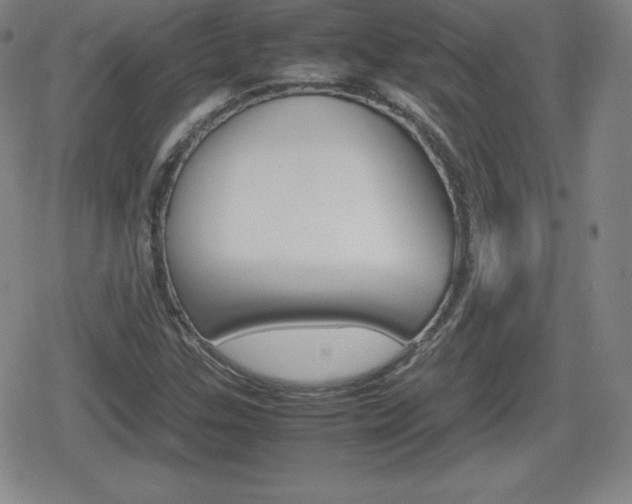 X0000080801307200612151022
