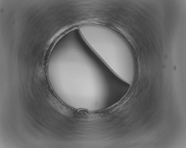 X0000080801308200612151022