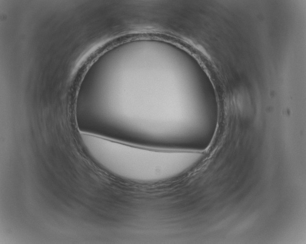 X0000080801311200612151022