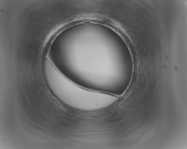 X0000080801312200612151022