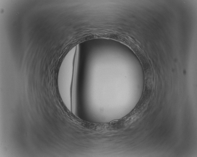 X0000080801345200612151022