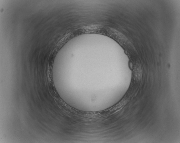 X0000080801346200612151022