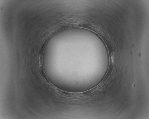 X0000080801347200612151022