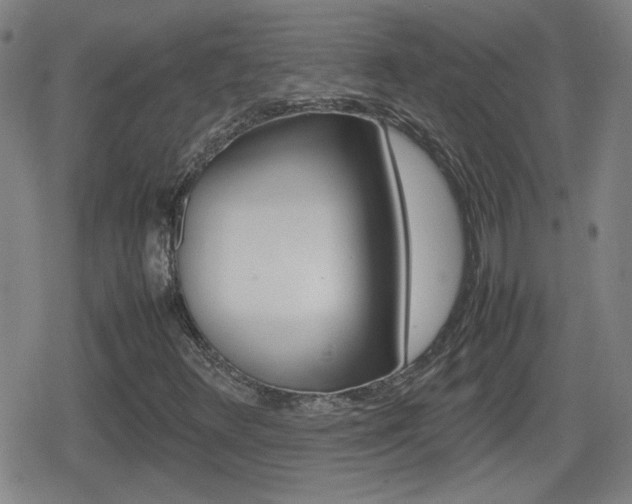 X0000080801348200612151022