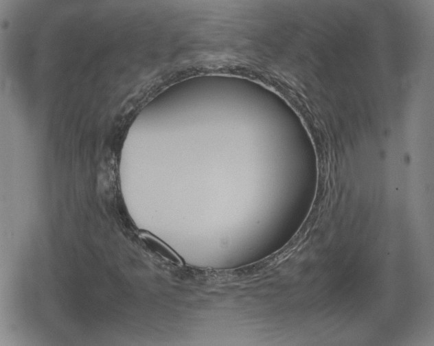 X0000080801349200612151022