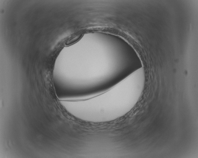 X0000080801351200612151022