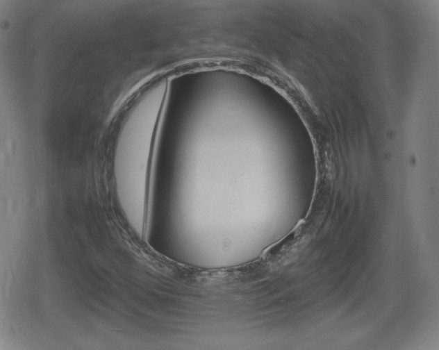 X0000080801352200612151022