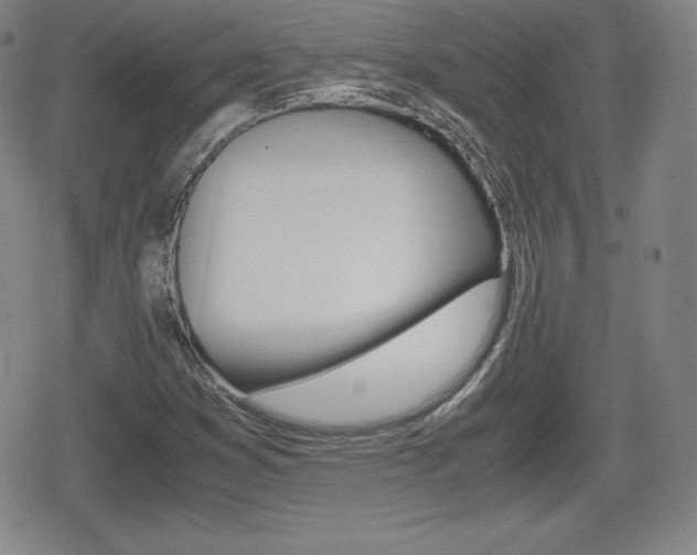 X0000080801353200612151022
