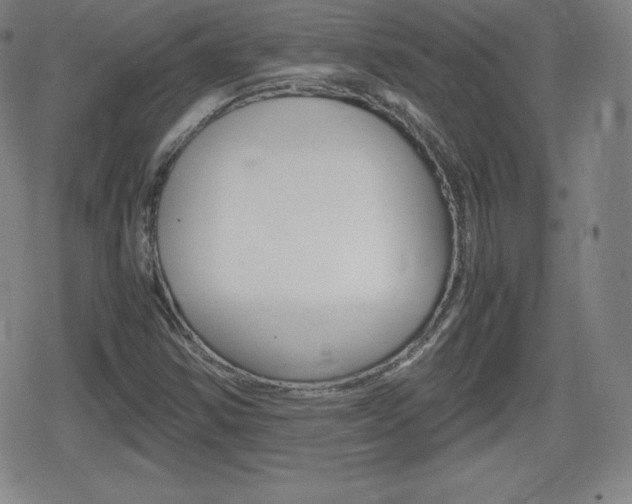 X0000080801354200612151022
