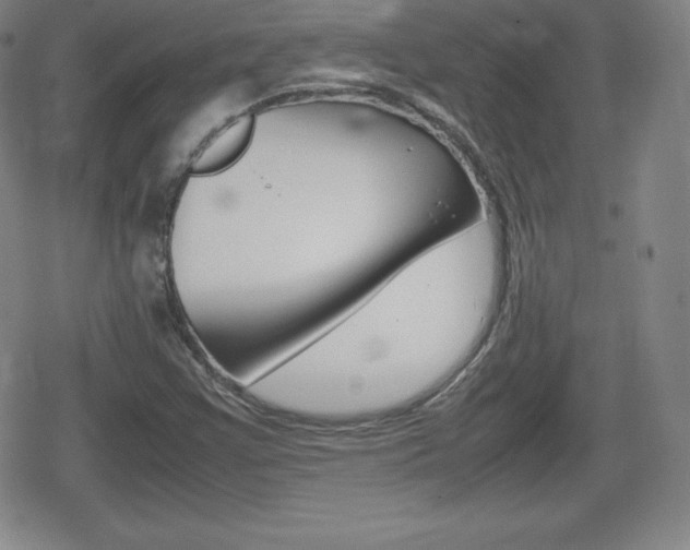 X0000080801355200612151022