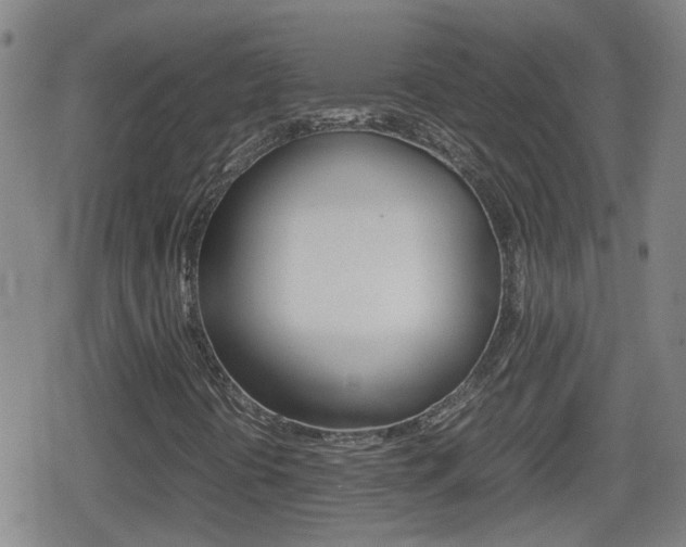 X0000080801394200612151021