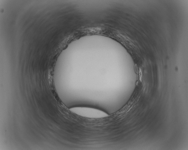 X0000080801395200612151021