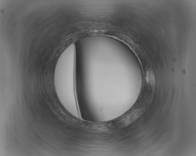 X0000080801396200612151021