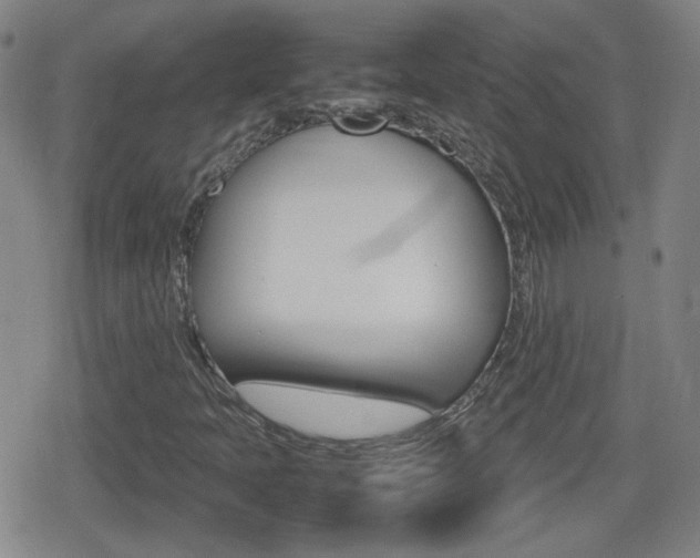 X0000080801397200612151021