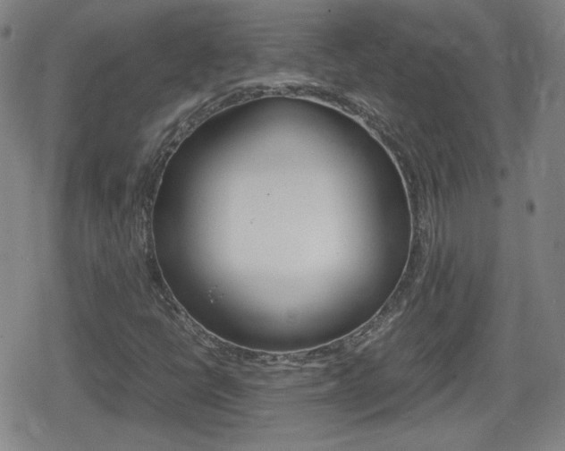 X0000080801398200612151021