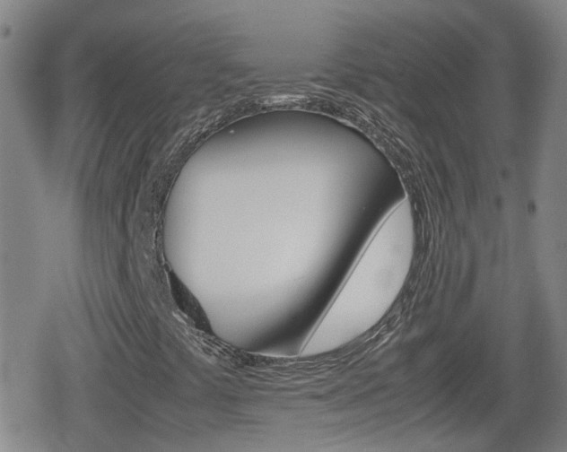 X0000080801441200612151021