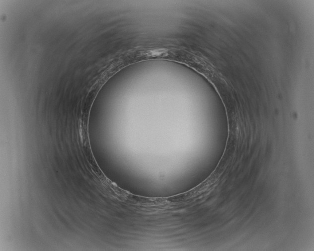 X0000080801442200612151021