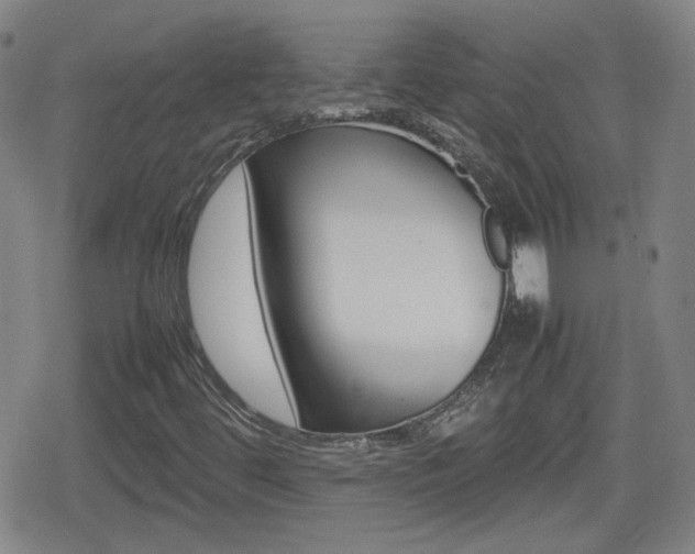 X0000080801444200612151021