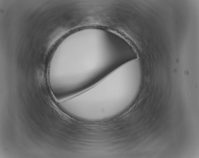 X0000080801452200612151020