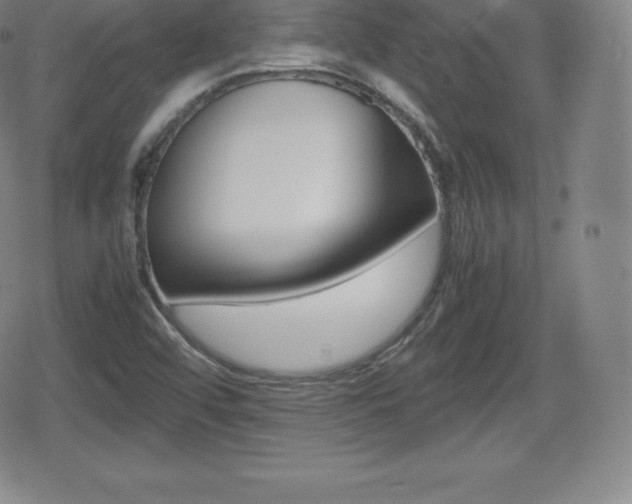 X0000080801456200612151020