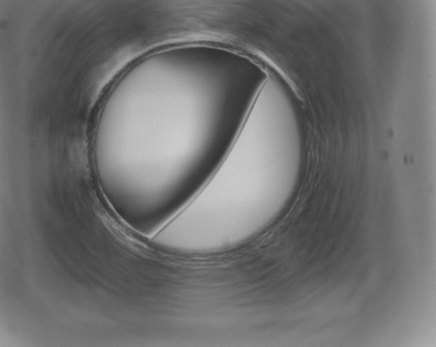 X0000080801460200612151020