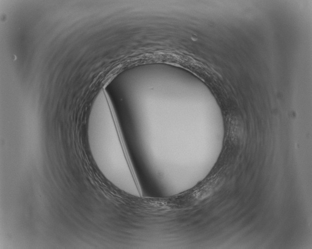 X0000080801489200612151019