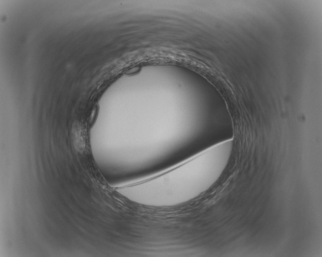 X0000080801490200612151019
