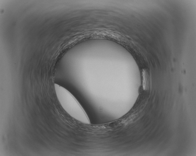 X0000080801491200612151019