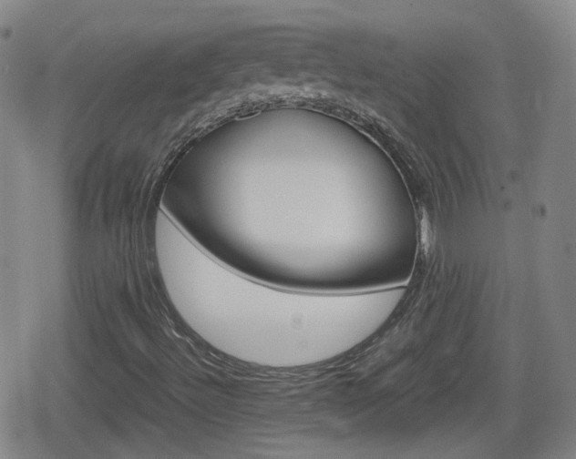 X0000080801492200612151019