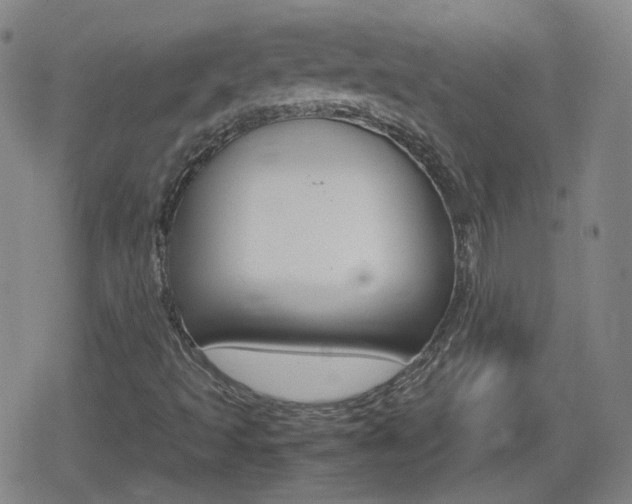 X0000080801493200612151019