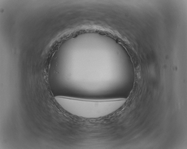 X0000080801495200612151019