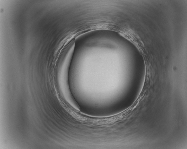X0000080800001200612151515