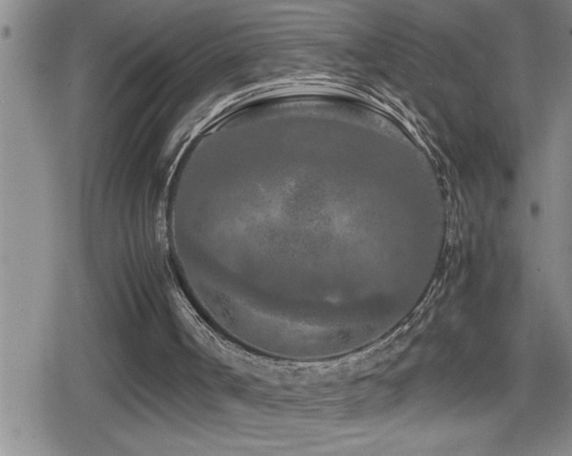 X0000080800002200612151515