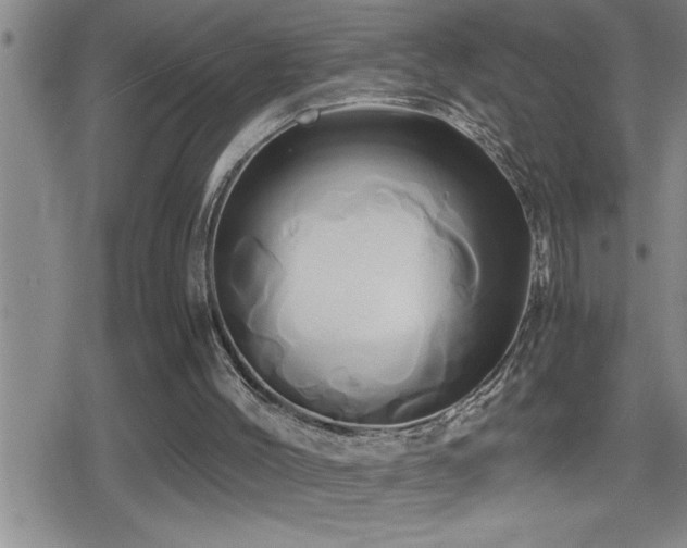 X0000080800004200612151515