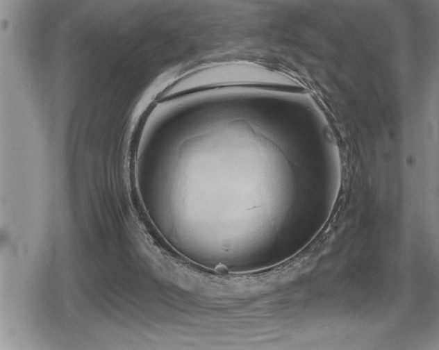 X0000080800006200612151515