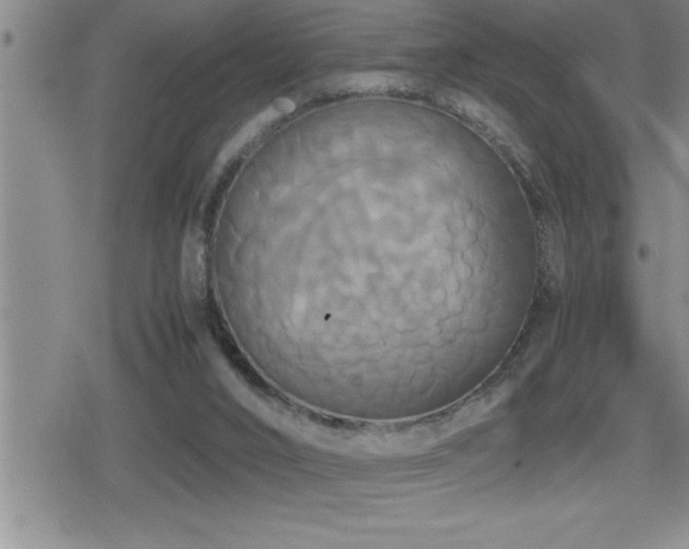 X0000080800016200612151515