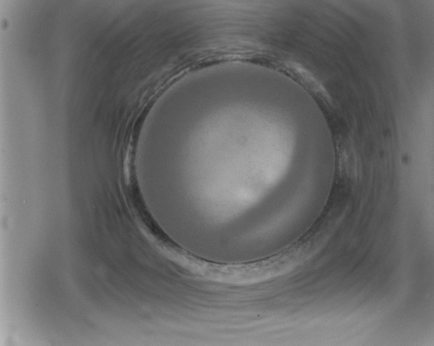X0000080800026200612151514