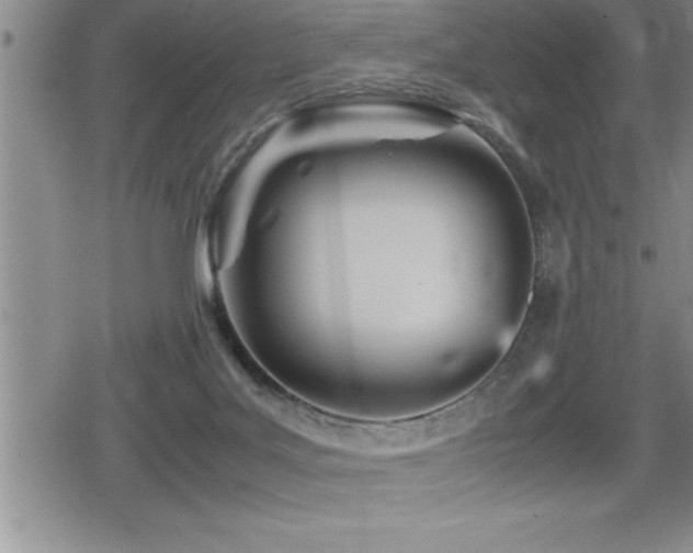 X0000080800027200612151514