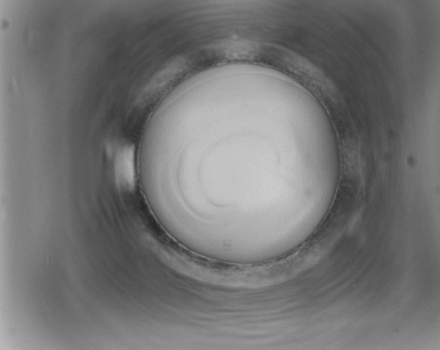 X0000080800028200612151514