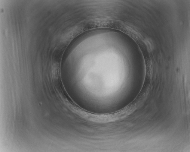 X0000080800034200612151514