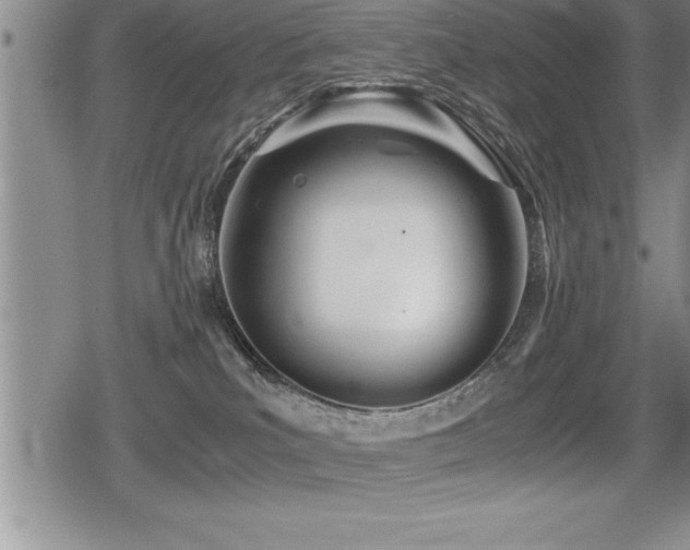 X0000080800039200612151514