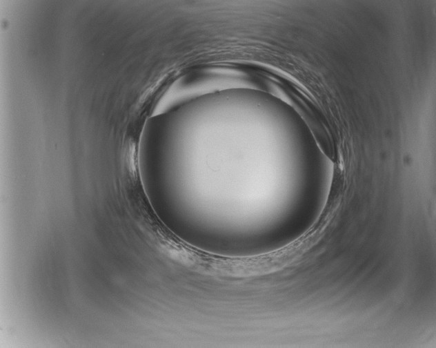 X0000080800041200612151514