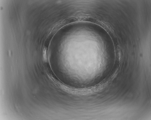 X0000080800042200612151514