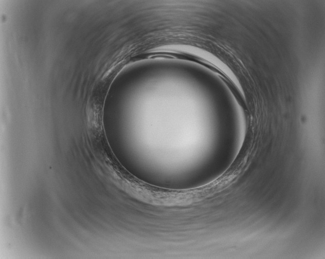 X0000080800044200612151514