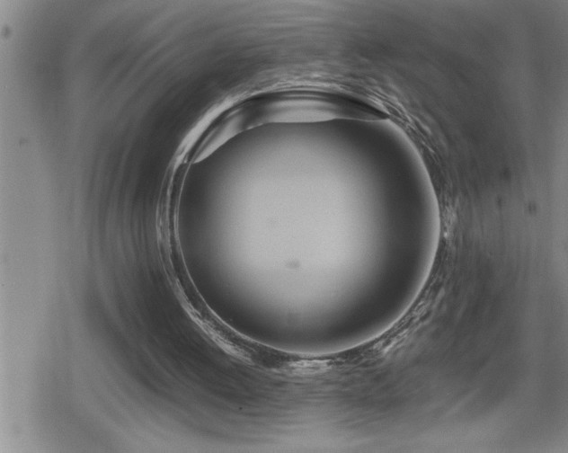 X0000080800052200612151513