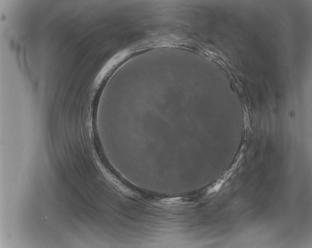 X0000080800054200612151513