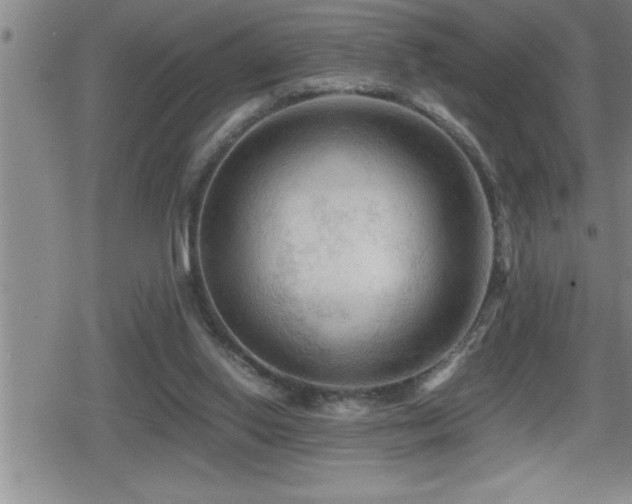 X0000080800062200612151513